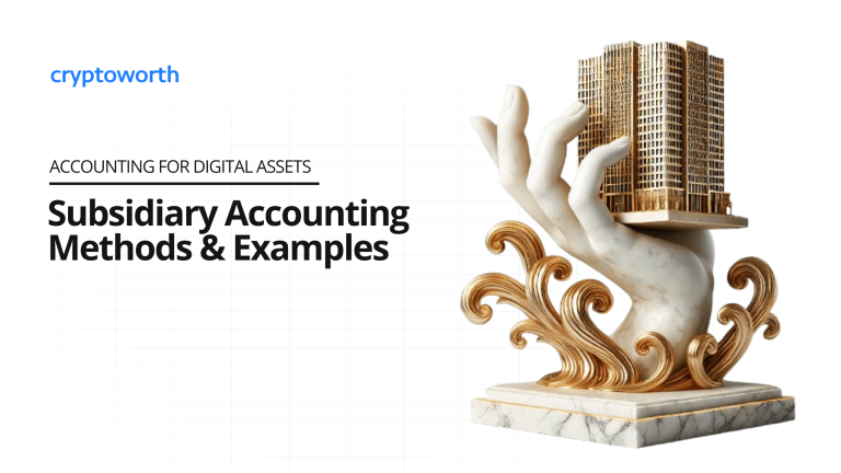 subsidiary accounting examples
